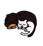 ねこ＆いぬ、二匹は仲良し（個別スタンプ：36）