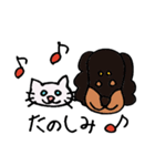 ねこ＆いぬ、二匹は仲良し（個別スタンプ：40）