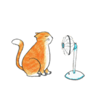 Jaffa Cat（個別スタンプ：17）