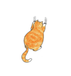 Jaffa Cat（個別スタンプ：22）