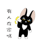 Kite Cat（個別スタンプ：7）