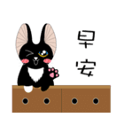 Kite Cat（個別スタンプ：9）