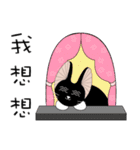 Kite Cat（個別スタンプ：26）