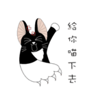 Kite Cat（個別スタンプ：34）