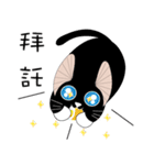 Kite Cat（個別スタンプ：37）