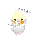 おちゃぶりおかめ。（個別スタンプ：28）