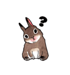 The Husband（個別スタンプ：19）