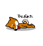 宮崎弁の柴犬（個別スタンプ：4）