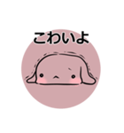 もふっとうさぎ（個別スタンプ：39）