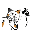 Yam Travel - Chi-Mo Family！（個別スタンプ：39）