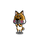 Wish japan Dog（個別スタンプ：11）