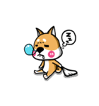 Wish japan Dog（個別スタンプ：35）
