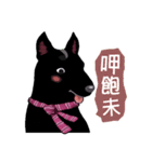 Black Dog (Taiwanese Ver.)（個別スタンプ：1）