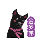 Black Dog (Taiwanese Ver.)（個別スタンプ：2）