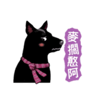 Black Dog (Taiwanese Ver.)（個別スタンプ：4）