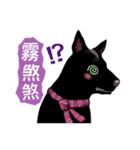 Black Dog (Taiwanese Ver.)（個別スタンプ：9）