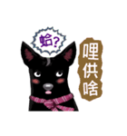 Black Dog (Taiwanese Ver.)（個別スタンプ：11）
