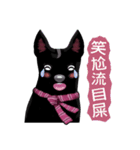 Black Dog (Taiwanese Ver.)（個別スタンプ：13）