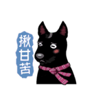 Black Dog (Taiwanese Ver.)（個別スタンプ：15）