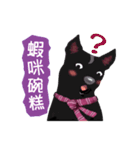 Black Dog (Taiwanese Ver.)（個別スタンプ：17）