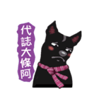 Black Dog (Taiwanese Ver.)（個別スタンプ：19）
