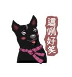 Black Dog (Taiwanese Ver.)（個別スタンプ：25）
