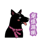 Black Dog (Taiwanese Ver.)（個別スタンプ：26）