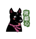 Black Dog (Taiwanese Ver.)（個別スタンプ：27）