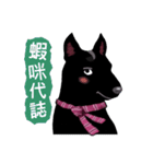 Black Dog (Taiwanese Ver.)（個別スタンプ：29）