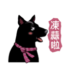 Black Dog (Taiwanese Ver.)（個別スタンプ：33）