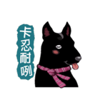Black Dog (Taiwanese Ver.)（個別スタンプ：37）
