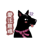 Black Dog (Taiwanese Ver.)（個別スタンプ：39）