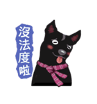 Black Dog (Taiwanese Ver.)（個別スタンプ：40）