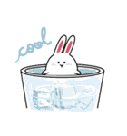 A-Shi Rabbit 3（個別スタンプ：34）