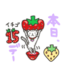 いちごちゃんファミリー第2弾（個別スタンプ：18）