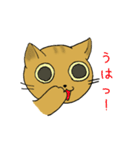 ねこ・猫・茶とらの日常（個別スタンプ：13）