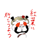 おねえパンダ（個別スタンプ：16）