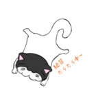 ねこかぶりん（個別スタンプ：5）