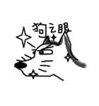 Jimmy dog（個別スタンプ：31）