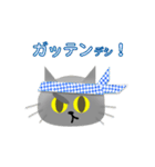 トラ＆銀蔵（個別スタンプ：11）