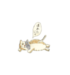 リアルな猫（個別スタンプ：27）