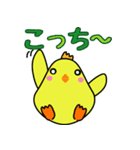 小鳥の日常（個別スタンプ：1）
