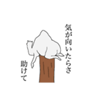 毎日らくだ（個別スタンプ：15）