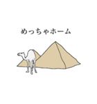 毎日らくだ（個別スタンプ：16）