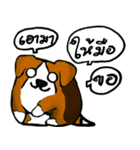 GRIZZLY GYM（個別スタンプ：11）