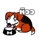 GRIZZLY GYM（個別スタンプ：24）