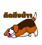 GRIZZLY GYM（個別スタンプ：39）