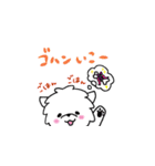 マルチーズのバニラ3（個別スタンプ：15）