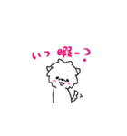 マルチーズのバニラ3（個別スタンプ：16）