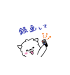 マルチーズのバニラ3（個別スタンプ：36）